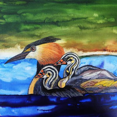 gertrud_poellmann_haubentaucher