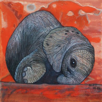 gertrud_poellmann_babyfant
