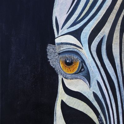 gertrud_poellmann_zebrablick