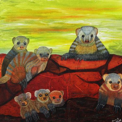 gertrud_poellmann_zebramangusten